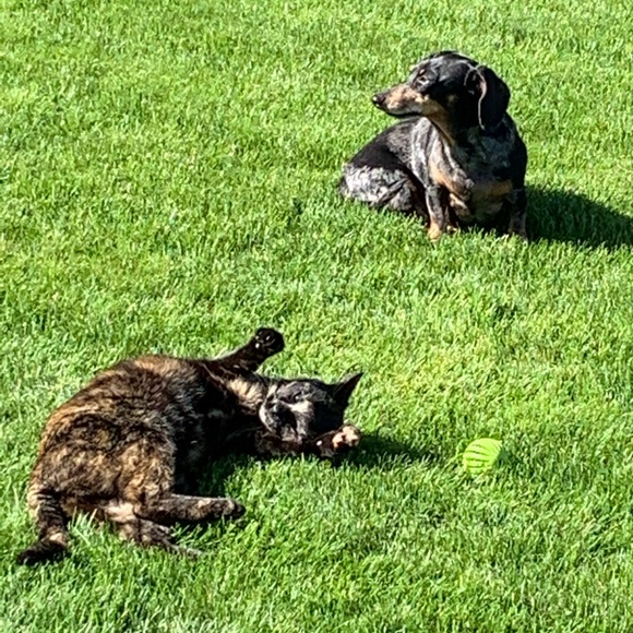 Meet your Posher - Picture 11 of 13